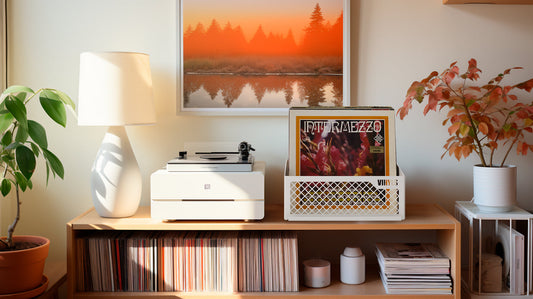 How to Clean Vinyl Records at Home