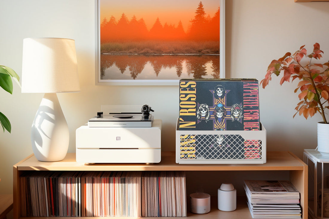 What is the best way to store vinyl records?