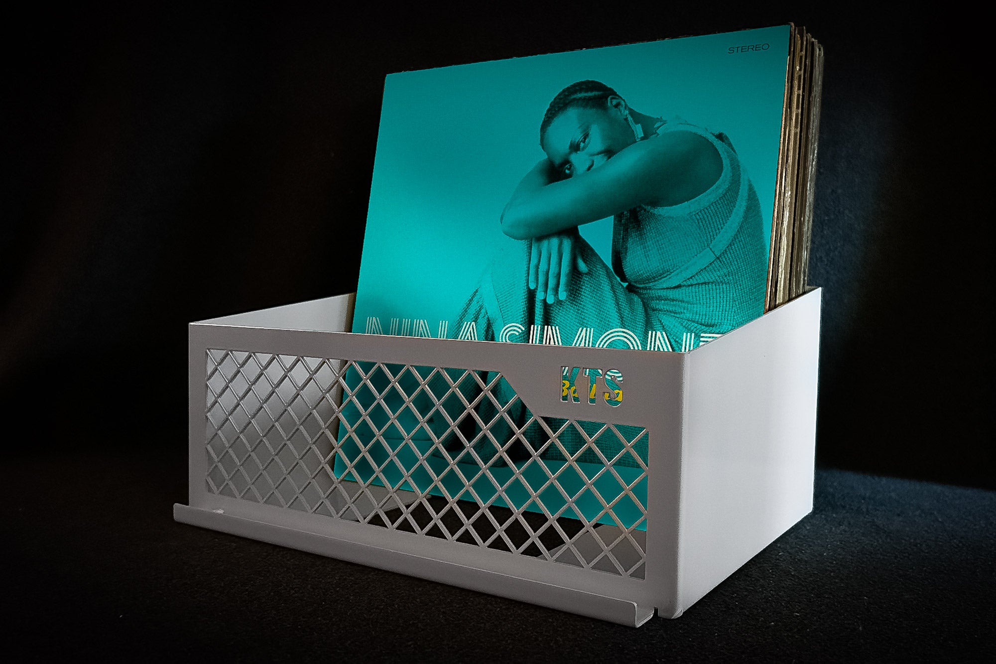 vinyl record wall holder
