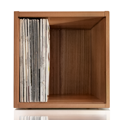 vinyl record storage