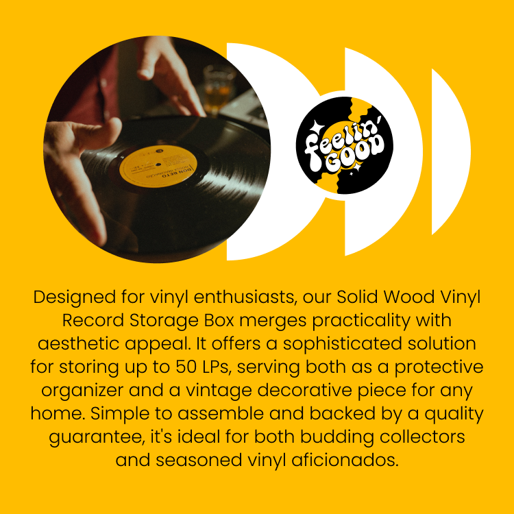 Vinyl-Aufbewahrungsbox aus Massivholz für 50 Schallplatten - Schutz und Komfort für Deine Lieblingsmusik