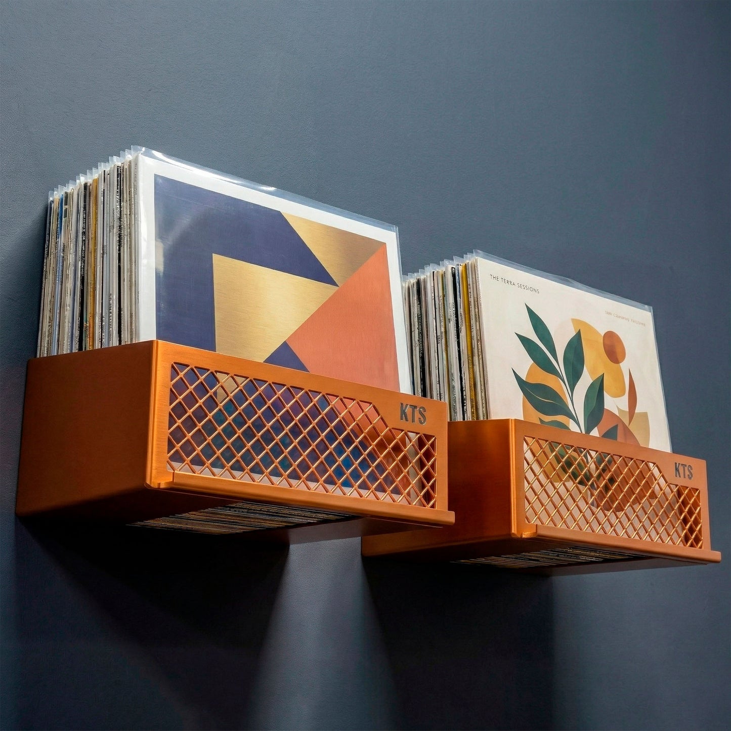 Flying V x2 wall-mounted vinyl display unit in purple finish holding LP records on mauve wall