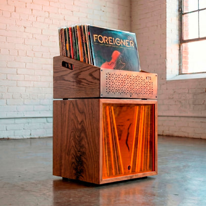 Modular Foreigner - Combined Vinyl Storage System (120+ LPs)