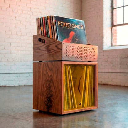 Modular Foreigner - Combined Vinyl Storage System (120+ LPs)
