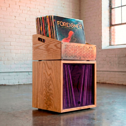 Modular Foreigner - Combined Vinyl Storage System (120+ LPs)