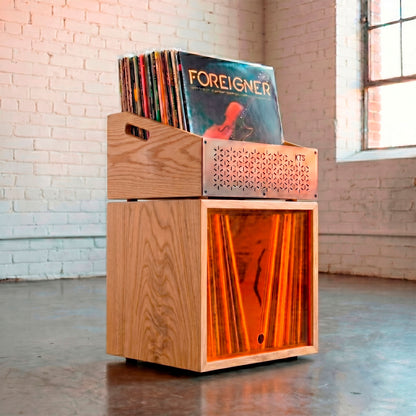 Modular Foreigner - Combined Vinyl Storage System (120+ LPs)
