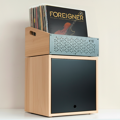 Vinyl Record Batea Elegance