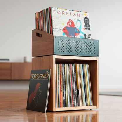 Vinyl Record Batea Elegance