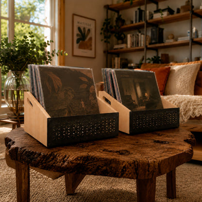 Vinyl Record Crate — 2er-Set (Open-Top, 120 LPs)