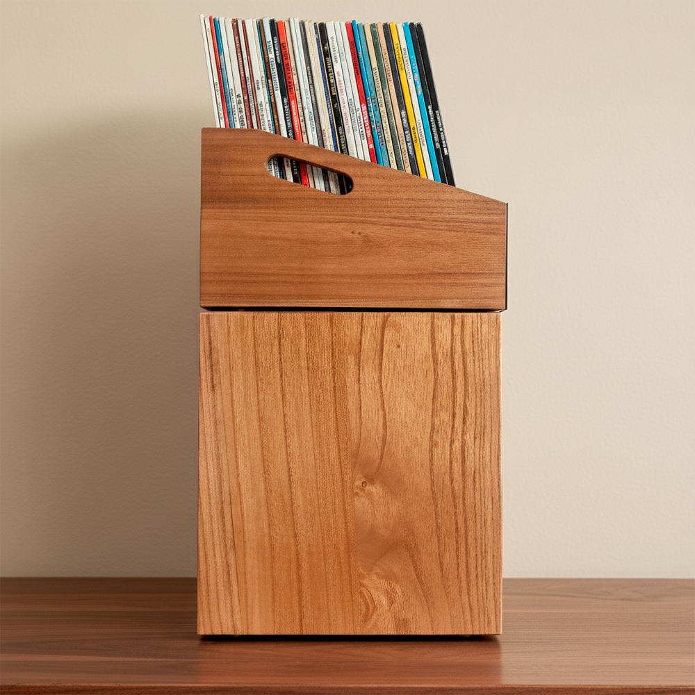 Vinyl Record Batea