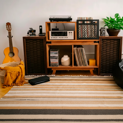 Vinyl Record Box