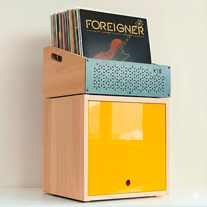 Portable wooden crate with handles for vinyl record transport.