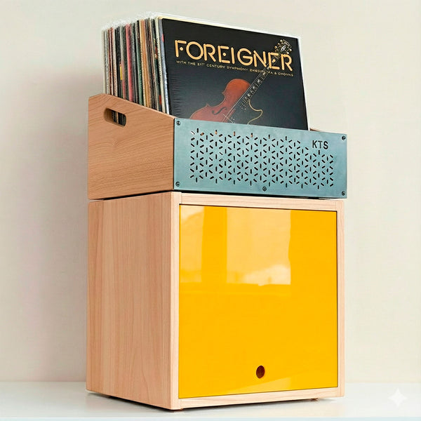 Portable wooden crate with handles for vinyl record transport.