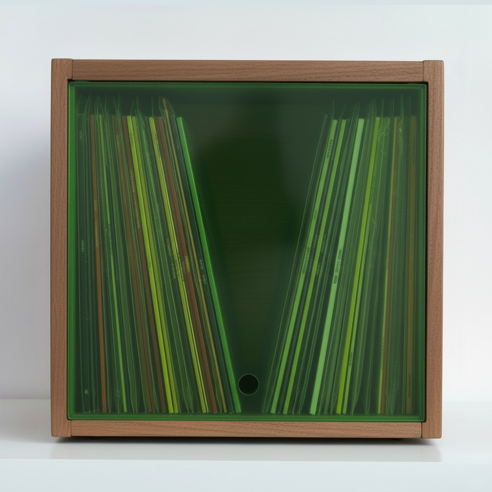 Vinyl Record Modular