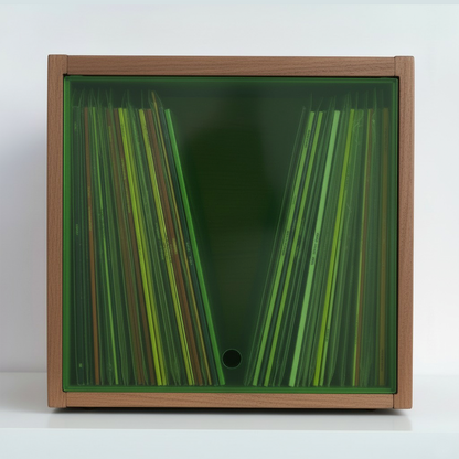Vinyl Record Modular