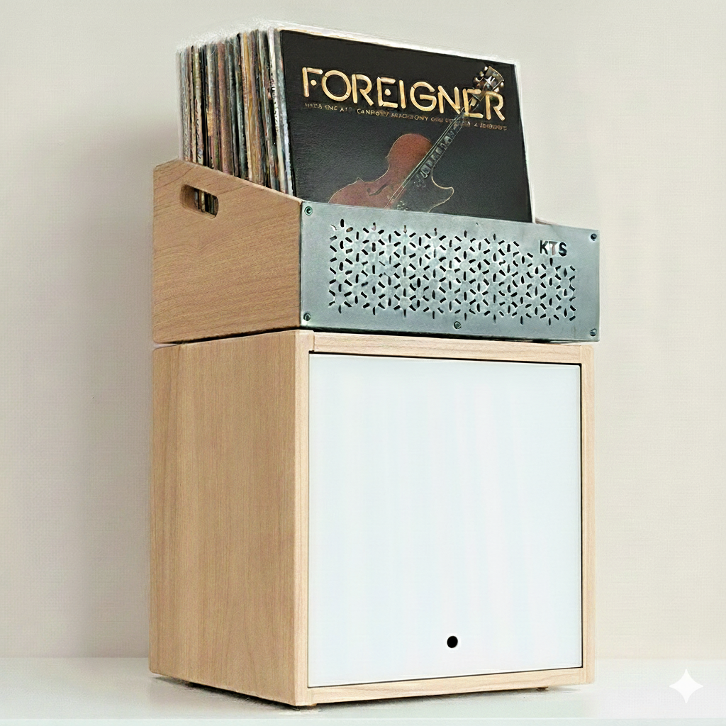 Aufbewahrungskiste und Schrank aus Holz für Vinyl-Schallplatten mit perforierter Metallfront zur Aufbewahrung von LP-Sammlungen.
