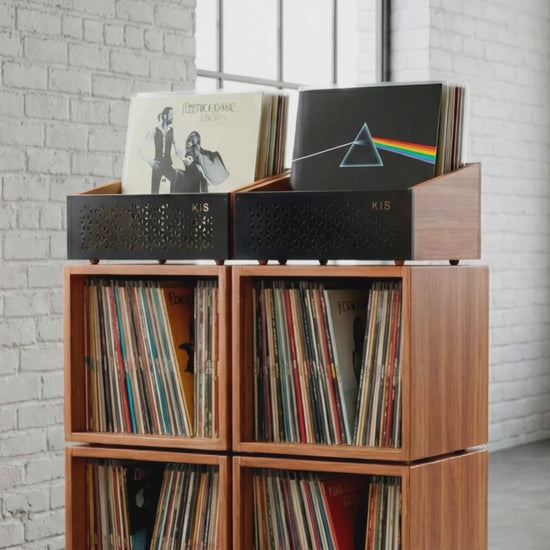 Modular Foreigner combined solid wood vinyl storage system, 120+ records
