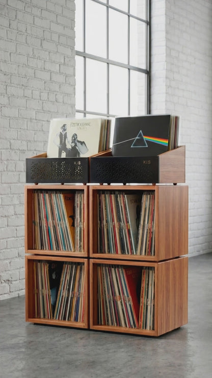 Modular Foreigner combined solid wood vinyl storage system, 120+ records