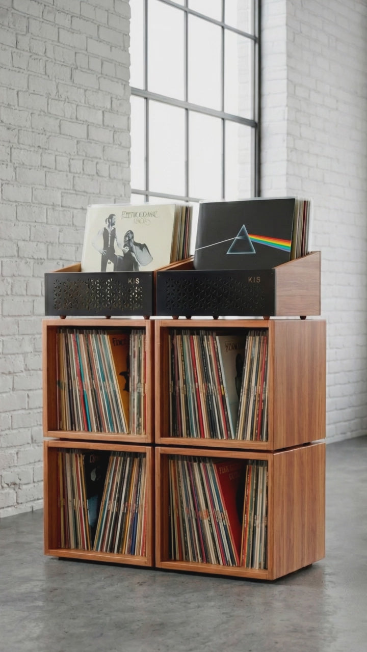 Modular Foreigner combined solid wood vinyl storage system, 120+ records